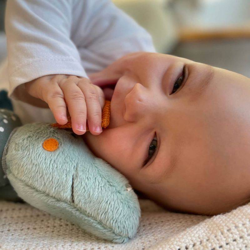 Sigikid Baby Aktiv Klettdrache Fabrikladen