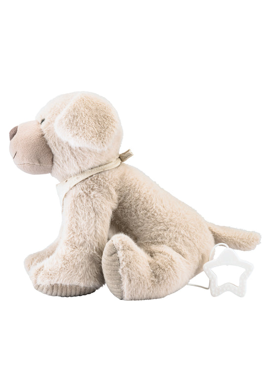 Sterntaler Spieluhr Hund Lucky in graubeige, groß Kostenloser Versand international