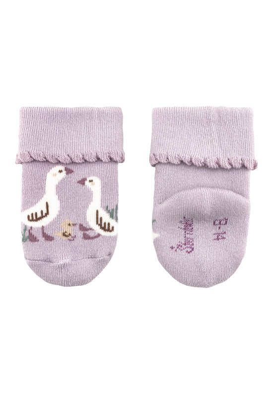Sterntaler Babys Socken 3er Set aus Baumwoll-Mischgewebe Tägliche Deals