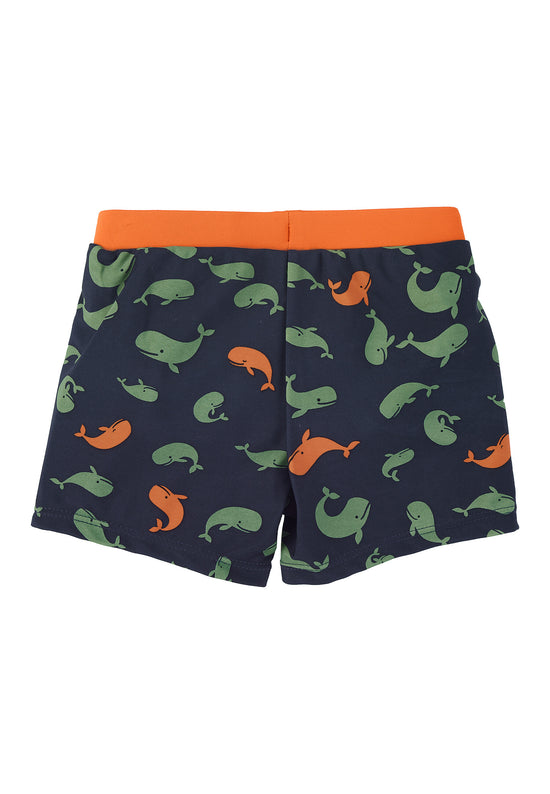 Sterntaler Badeshorts Marine mit Windeleinsatz bis Gr. 86/92 Flash Sale