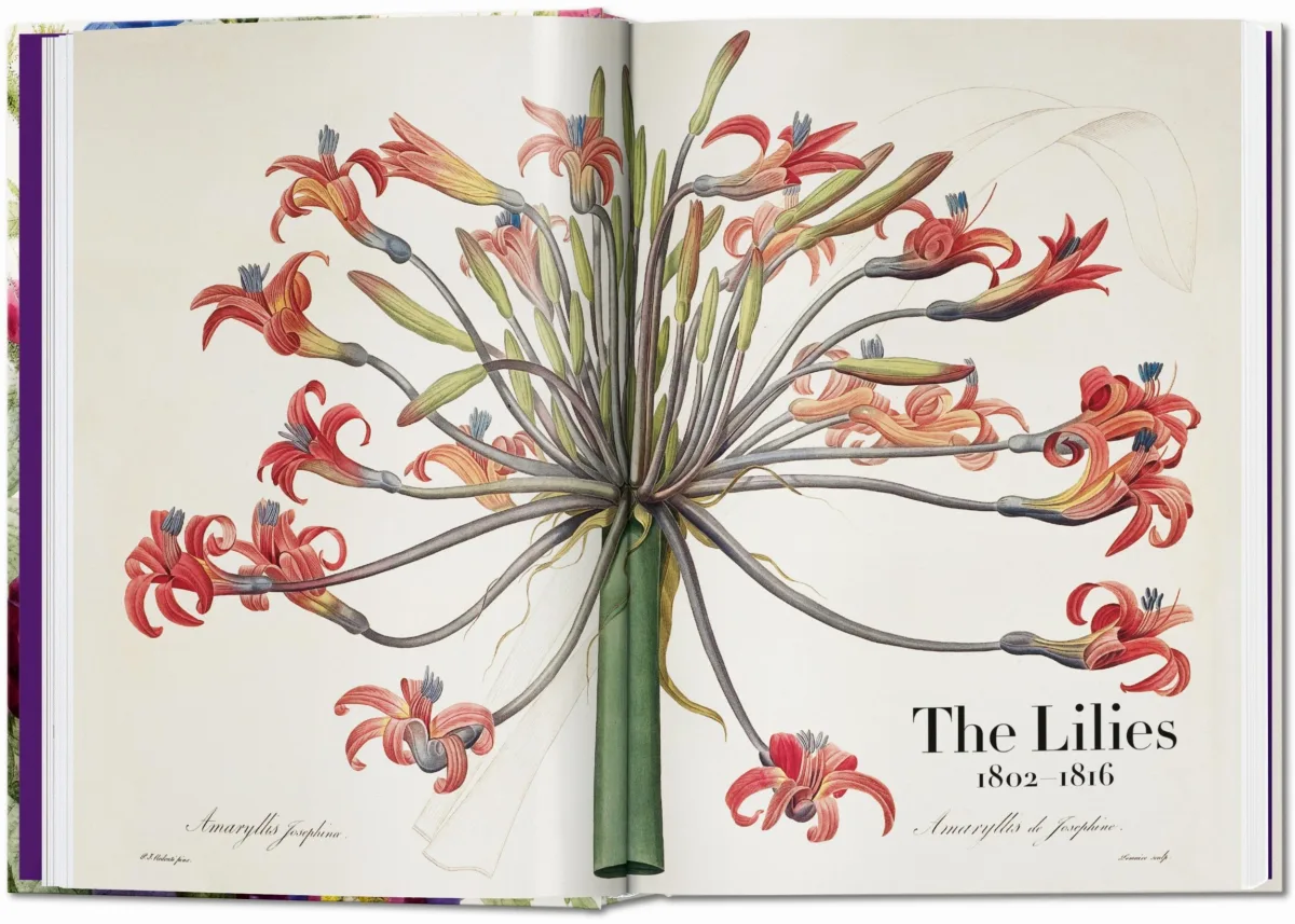 TASCHEN Redouté. The Book of Flowers. 40th Ed Online Shopping