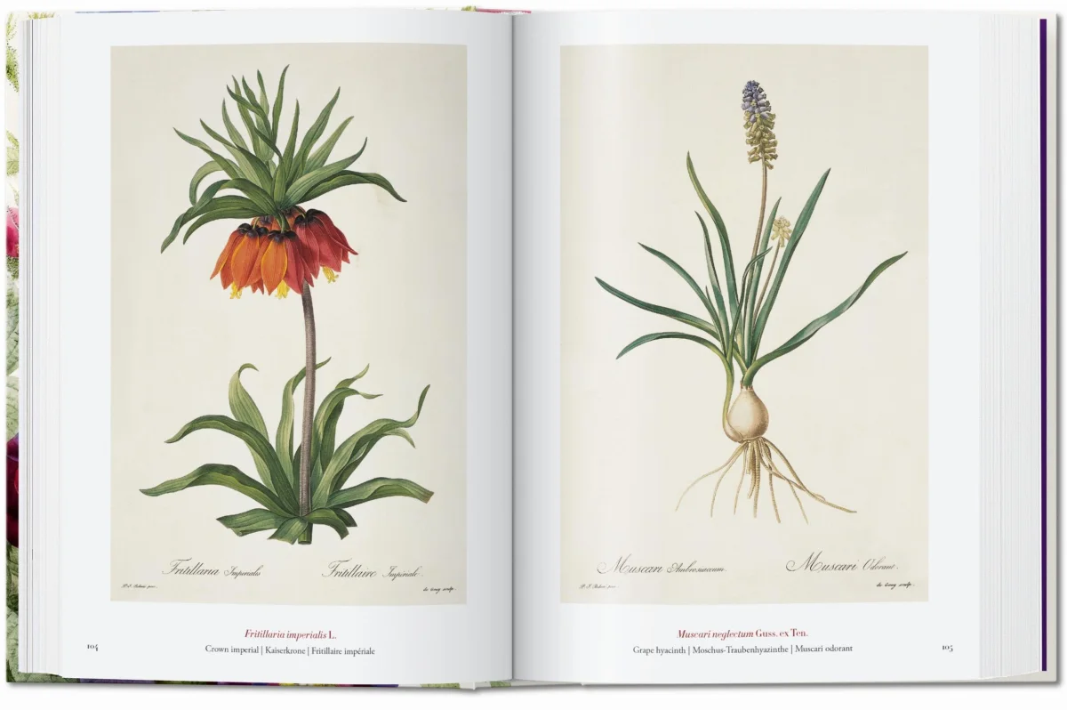 TASCHEN Redouté. The Book of Flowers. 40th Ed Online Shopping