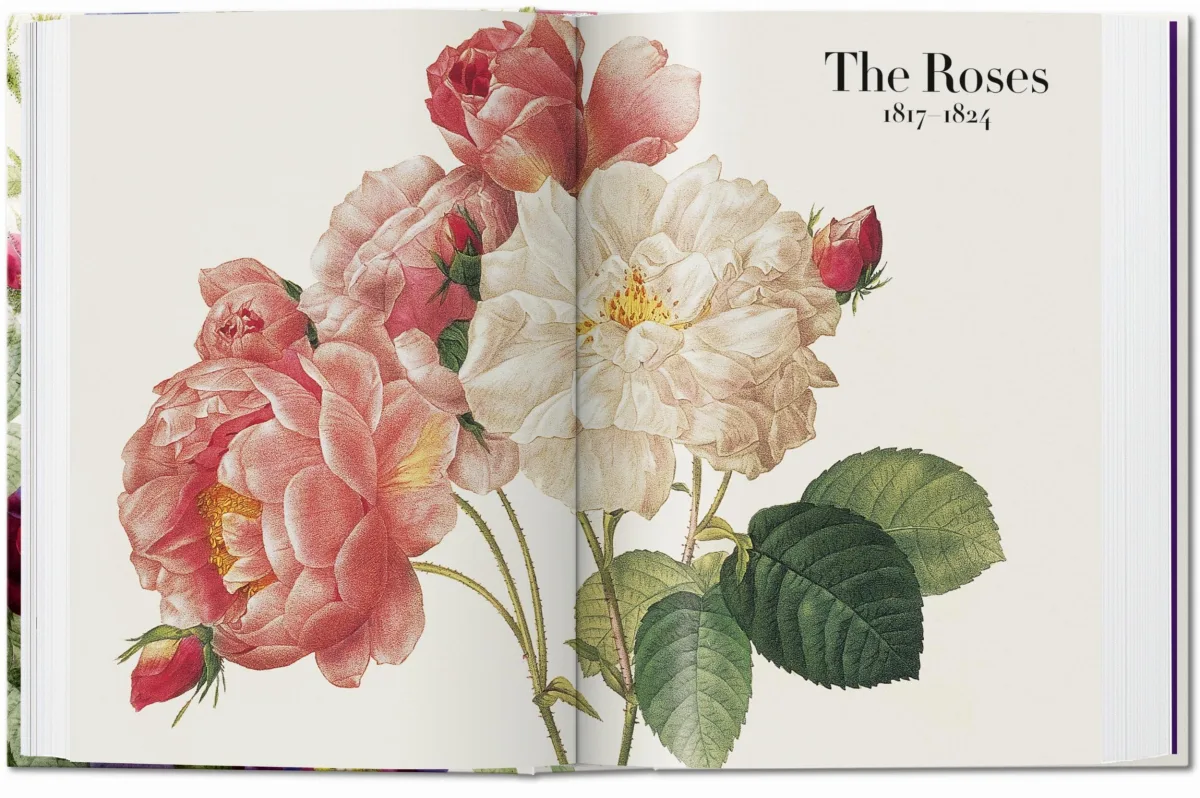 TASCHEN Redouté. The Book of Flowers. 40th Ed Online Shopping