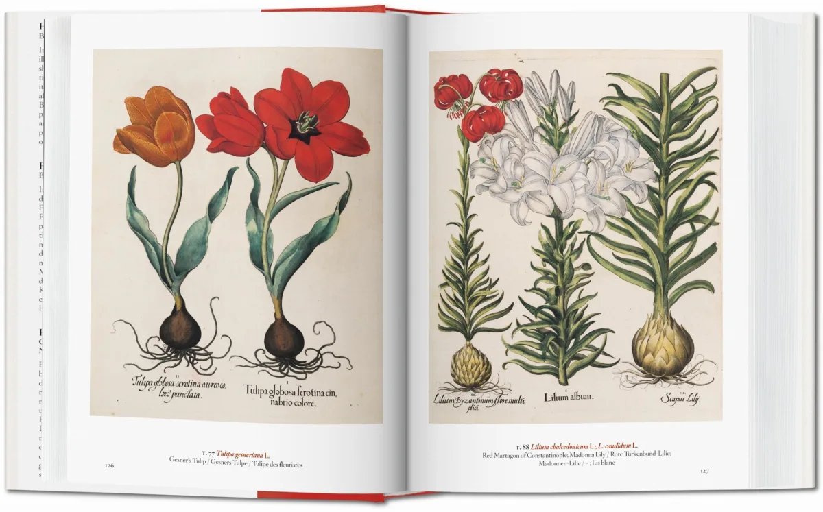 TASCHEN A Garden Eden. Masterpieces of Botanical Illustration. 40th Ed Weihnachtsangebot