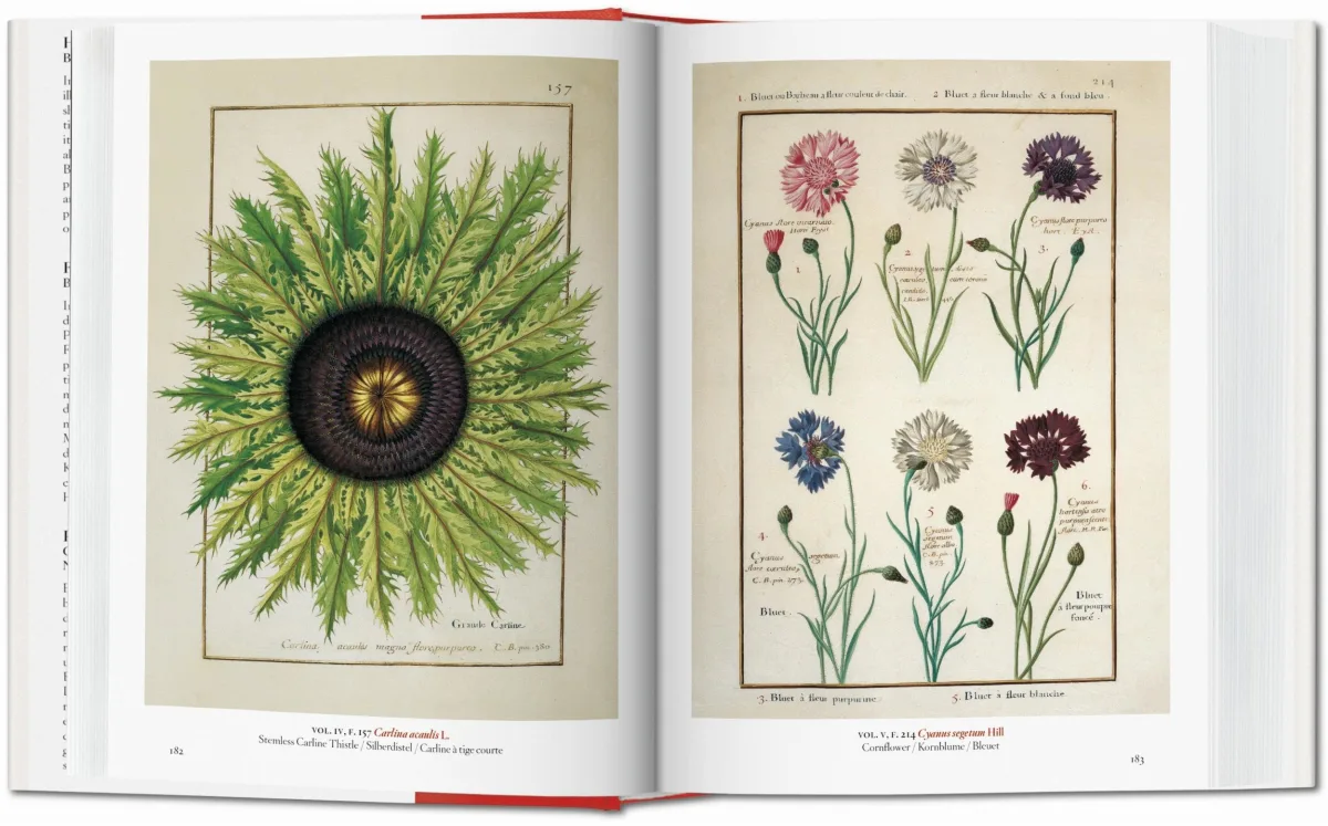 TASCHEN A Garden Eden. Masterpieces of Botanical Illustration. 40th Ed Weihnachtsangebot