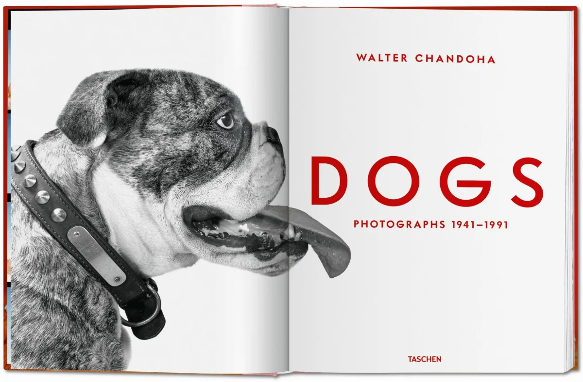 TASCHEN Walter Chandoha. Dogs. Photographs 1941–1991 VIP-Rabatte