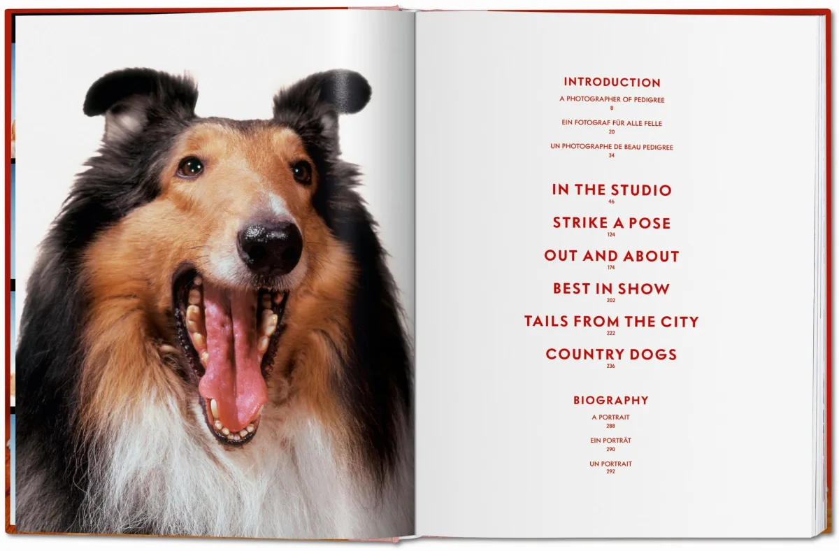 TASCHEN Walter Chandoha. Dogs. Photographs 1941–1991 VIP-Rabatte