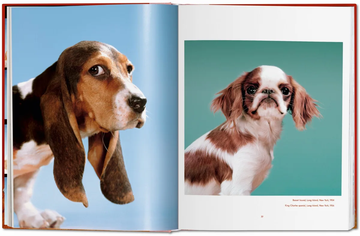 TASCHEN Walter Chandoha. Dogs. Photographs 1941–1991 VIP-Rabatte