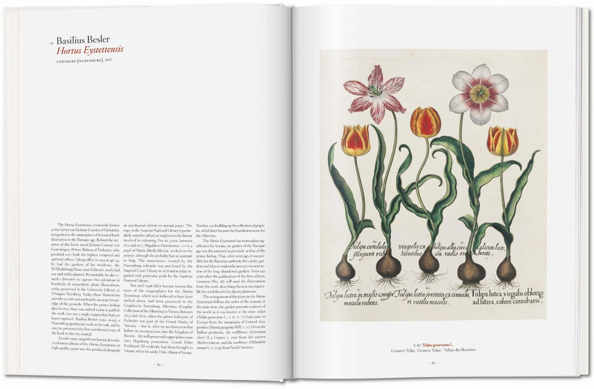 TASCHEN A Garden Eden. Masterpieces of Botanical Illustration Tiefpreis