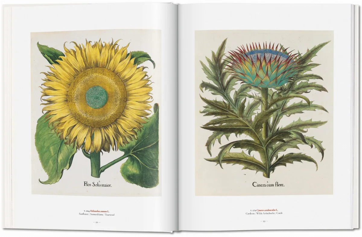 TASCHEN A Garden Eden. Masterpieces of Botanical Illustration Tiefpreis
