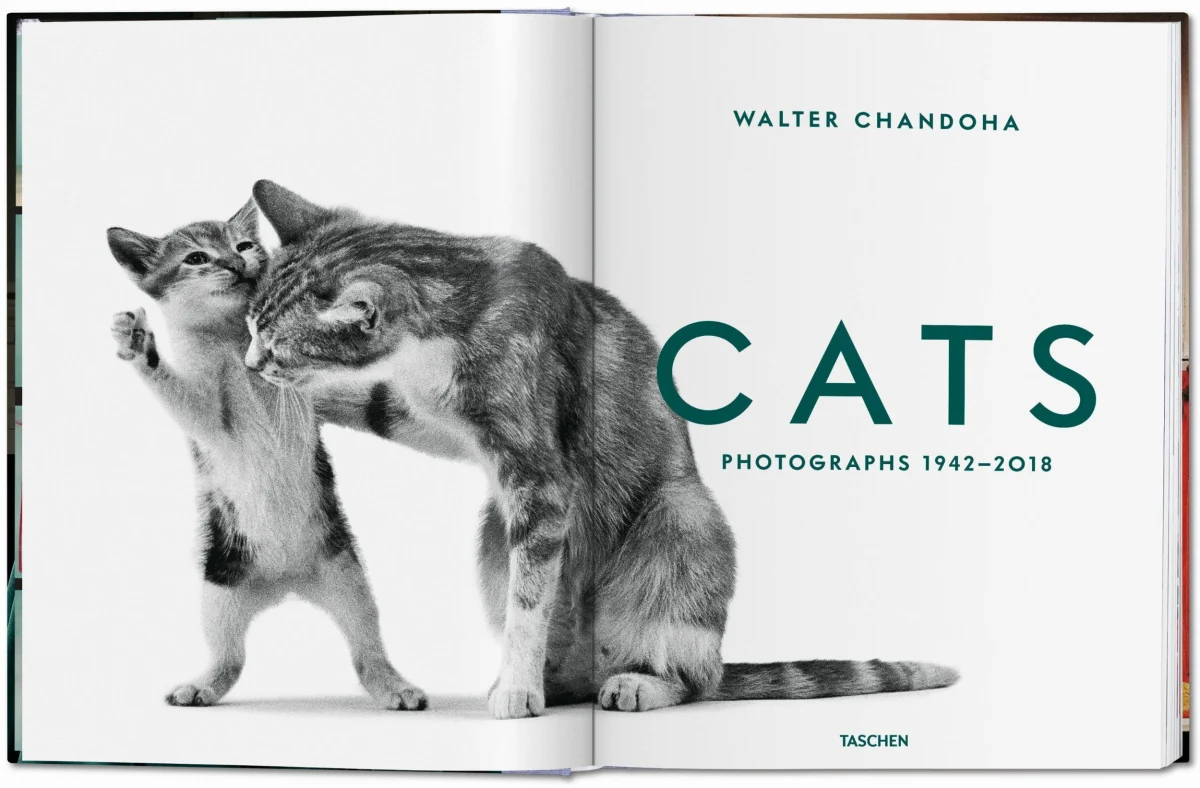 TASCHEN Walter Chandoha. Cats. Photographs 1942–2018 JETZT KAUFEN