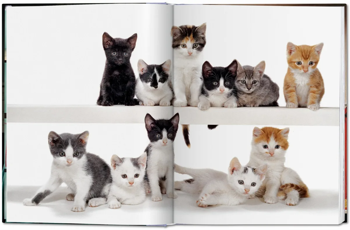 TASCHEN Walter Chandoha. Cats. Photographs 1942–2018 JETZT KAUFEN