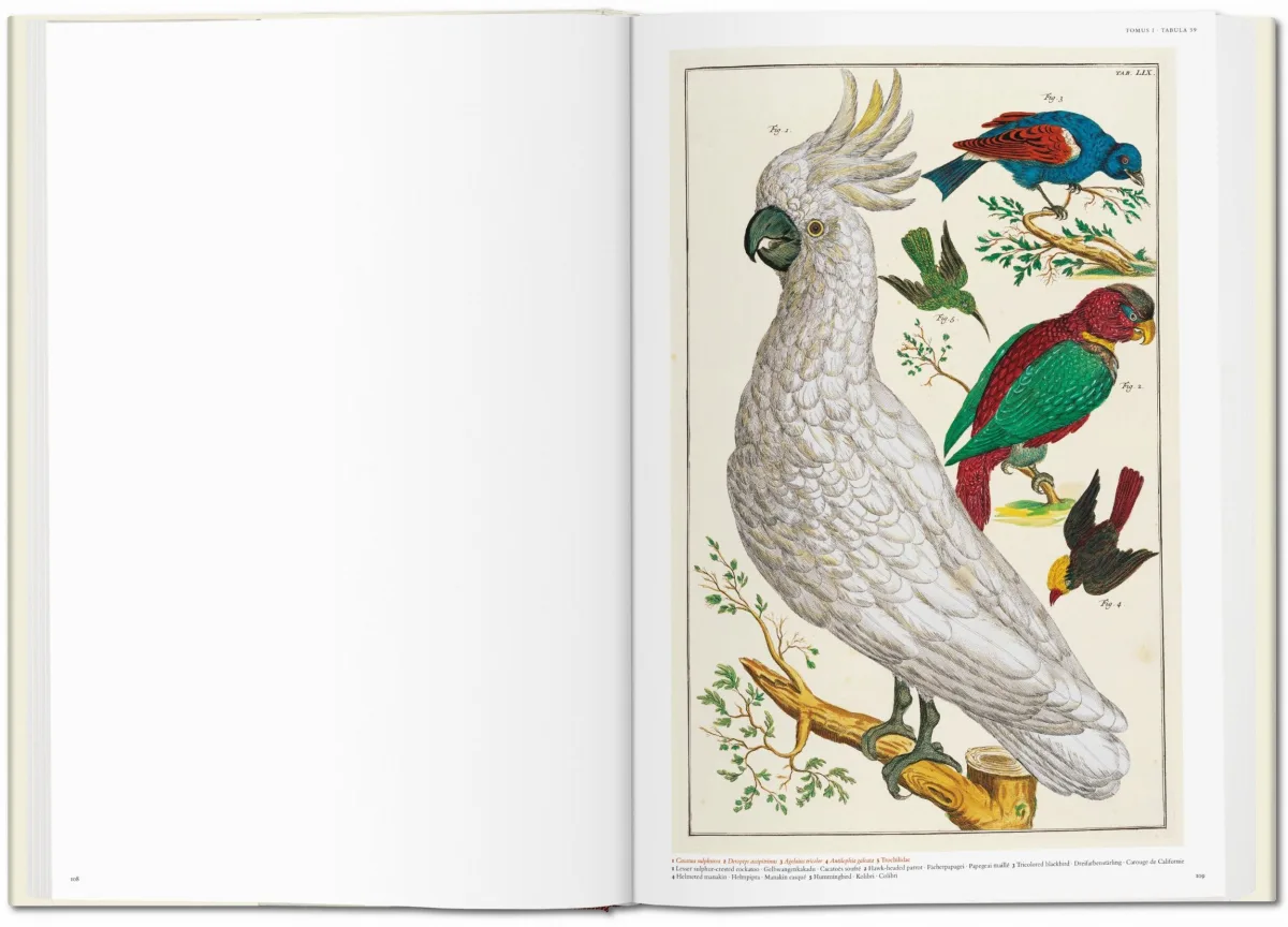 TASCHEN Seba. Cabinet of Natural Curiosities Vierteljährliche Förderung