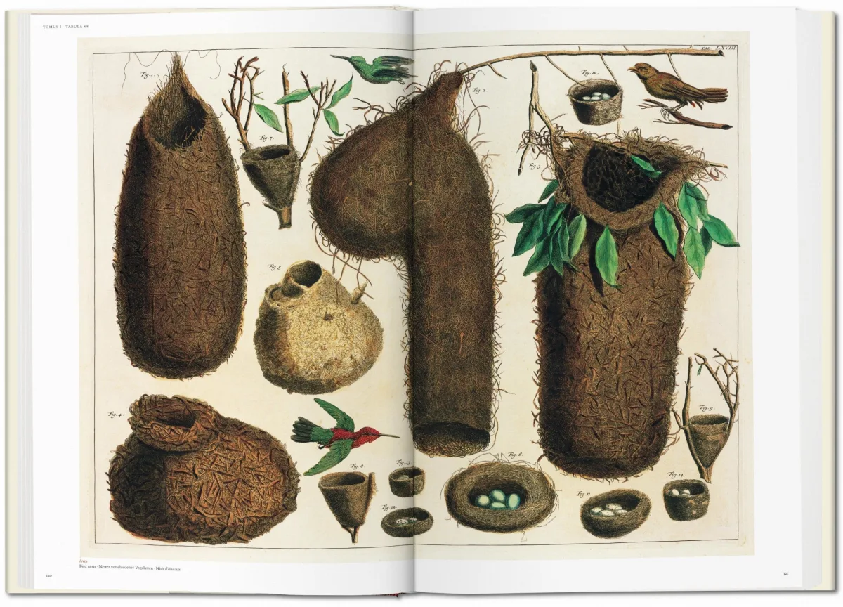 TASCHEN Seba. Cabinet of Natural Curiosities Vierteljährliche Förderung