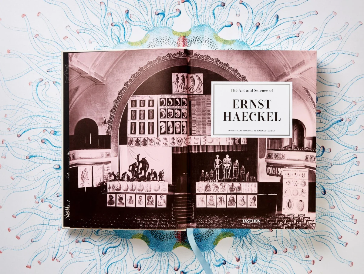 TASCHEN The Art and Science of Ernst Haeckel 50% Rabatt mit kostenlosem Versand