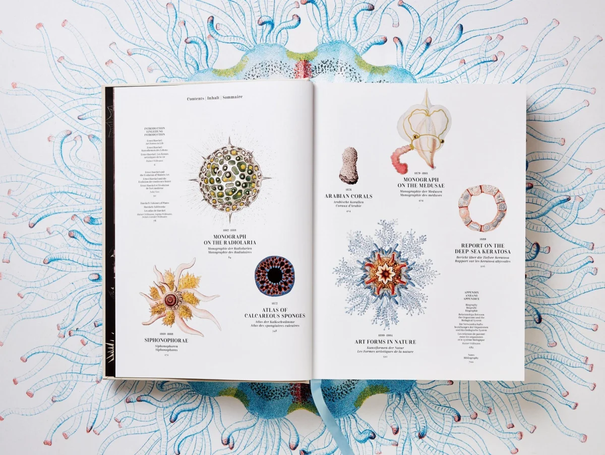 TASCHEN The Art and Science of Ernst Haeckel 50% Rabatt mit kostenlosem Versand