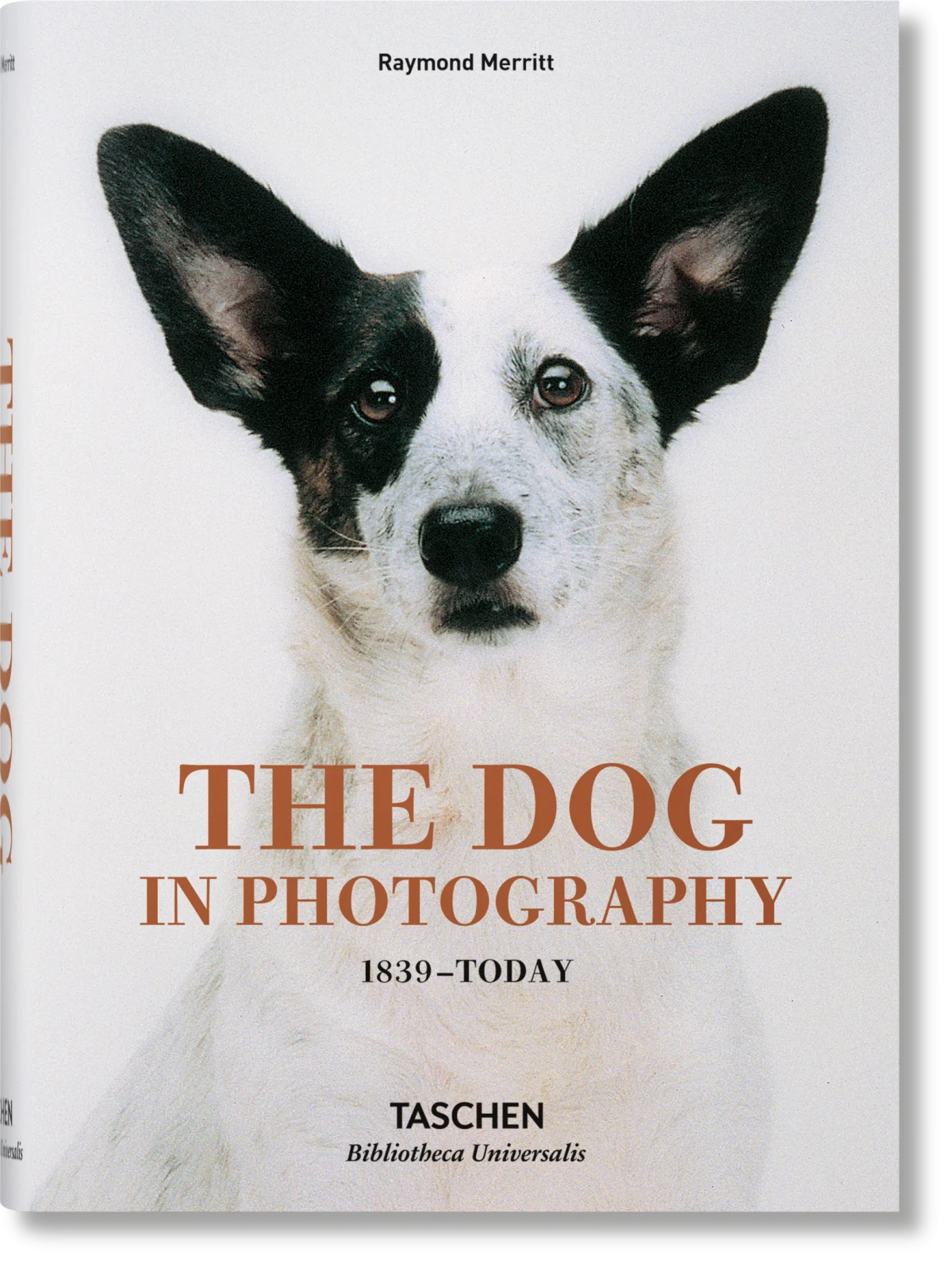 TASCHEN The Dog in Photography 1839–Today Nur noch ein Tag übrig