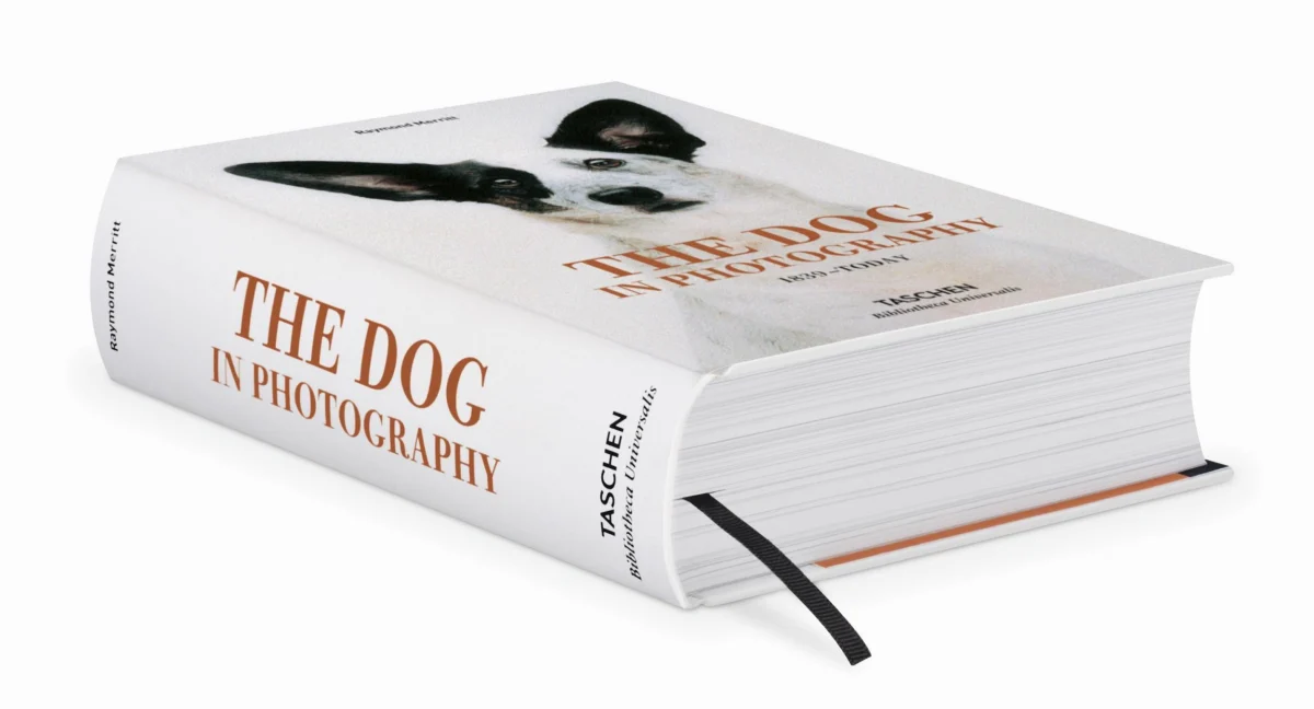 TASCHEN The Dog in Photography 1839–Today Nur noch ein Tag übrig