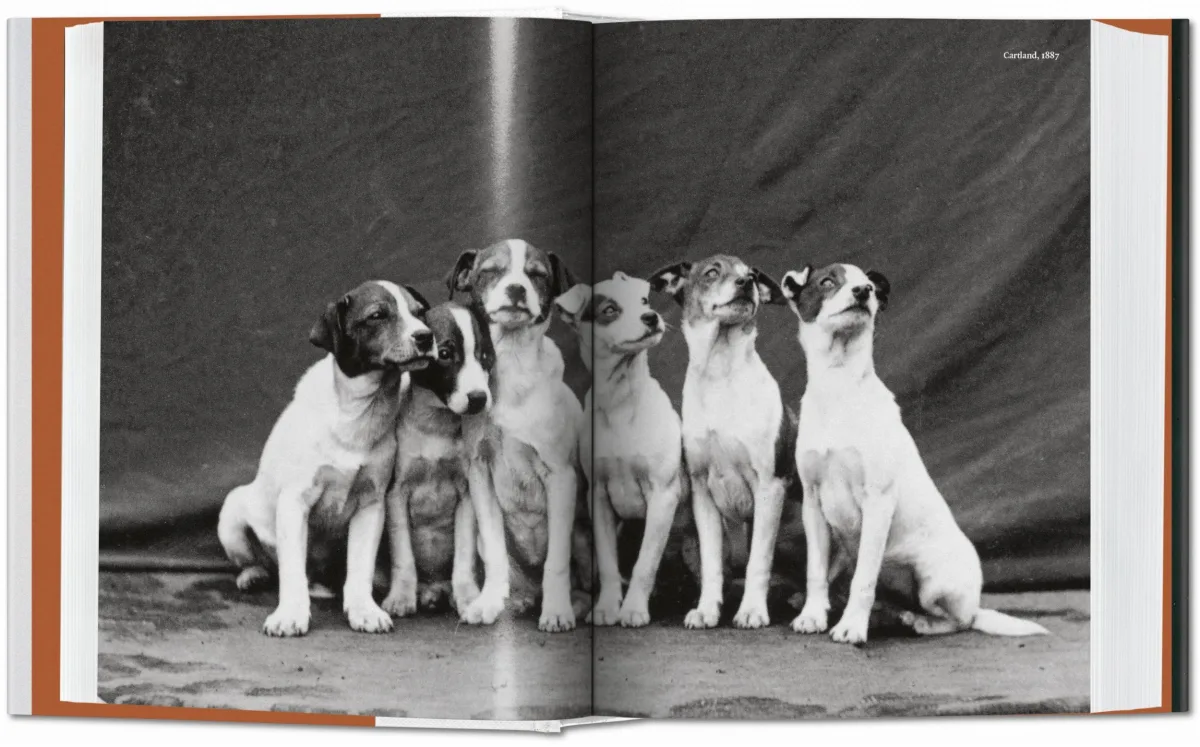 TASCHEN The Dog in Photography 1839–Today Nur noch ein Tag übrig