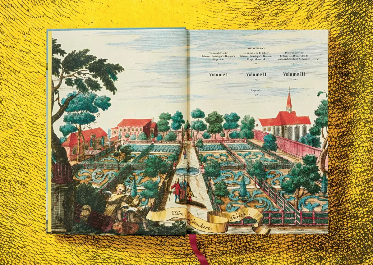 TASCHEN J. C. Volkamer. The Book of Citrus Fruits 50% Rabatt mit kostenlosem Versand