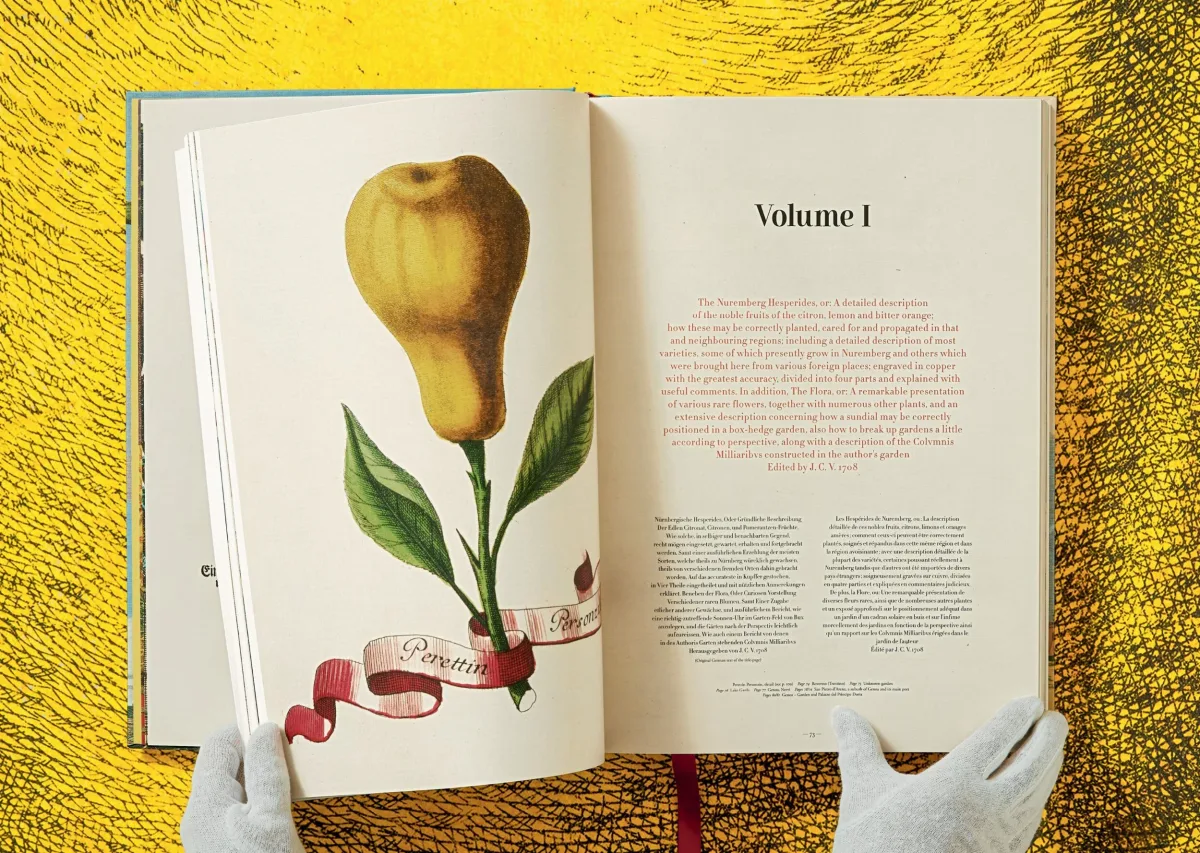 TASCHEN J. C. Volkamer. The Book of Citrus Fruits 50% Rabatt mit kostenlosem Versand