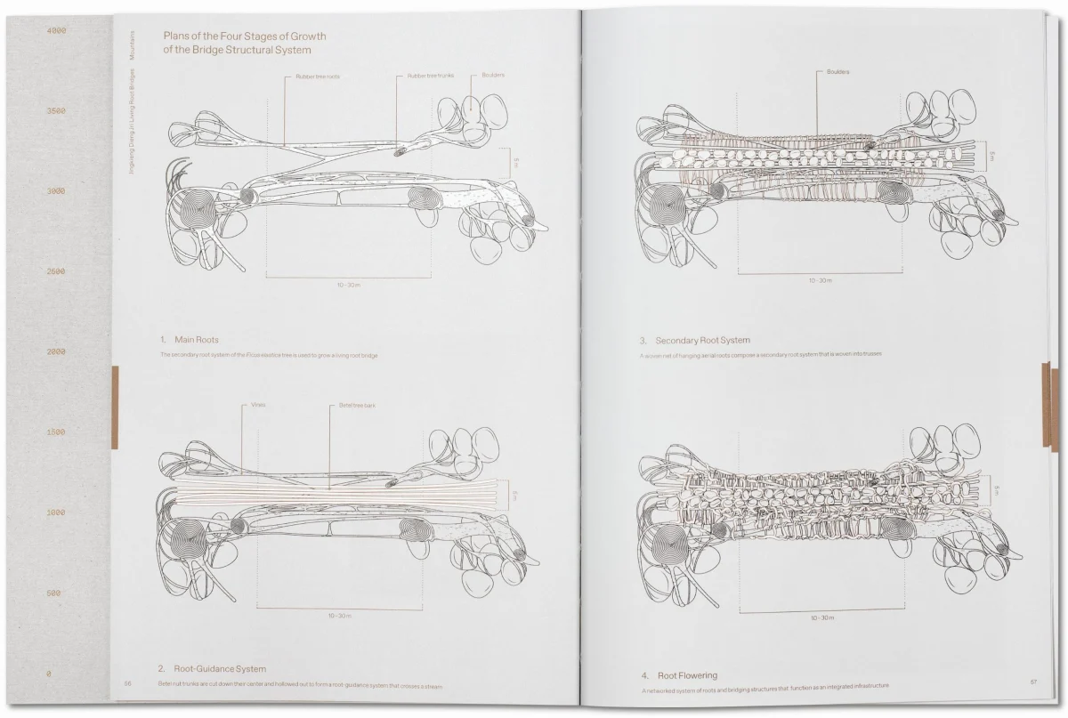 TASCHEN Julia Watson. Lo—TEK. Design by Radical Indigenism Begrenzt auf 3 Tage