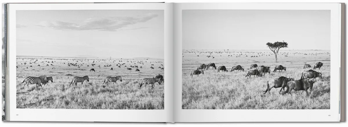 TASCHEN Sebastião Salgado. Africa Speichern exportieren