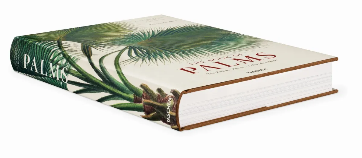 TASCHEN Martius. The Book of Palms Rabatte dieses Monats