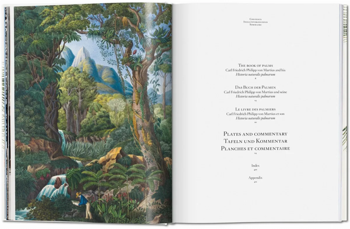 TASCHEN Martius. The Book of Palms Rabatte dieses Monats