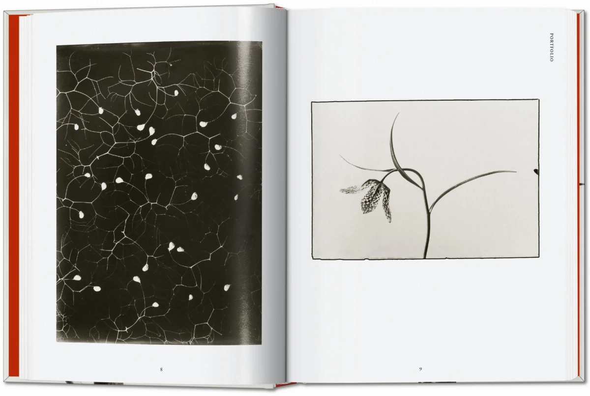 TASCHEN Karl Blossfeldt. The Complete Published Work. 40th Ed Tägliche Deals