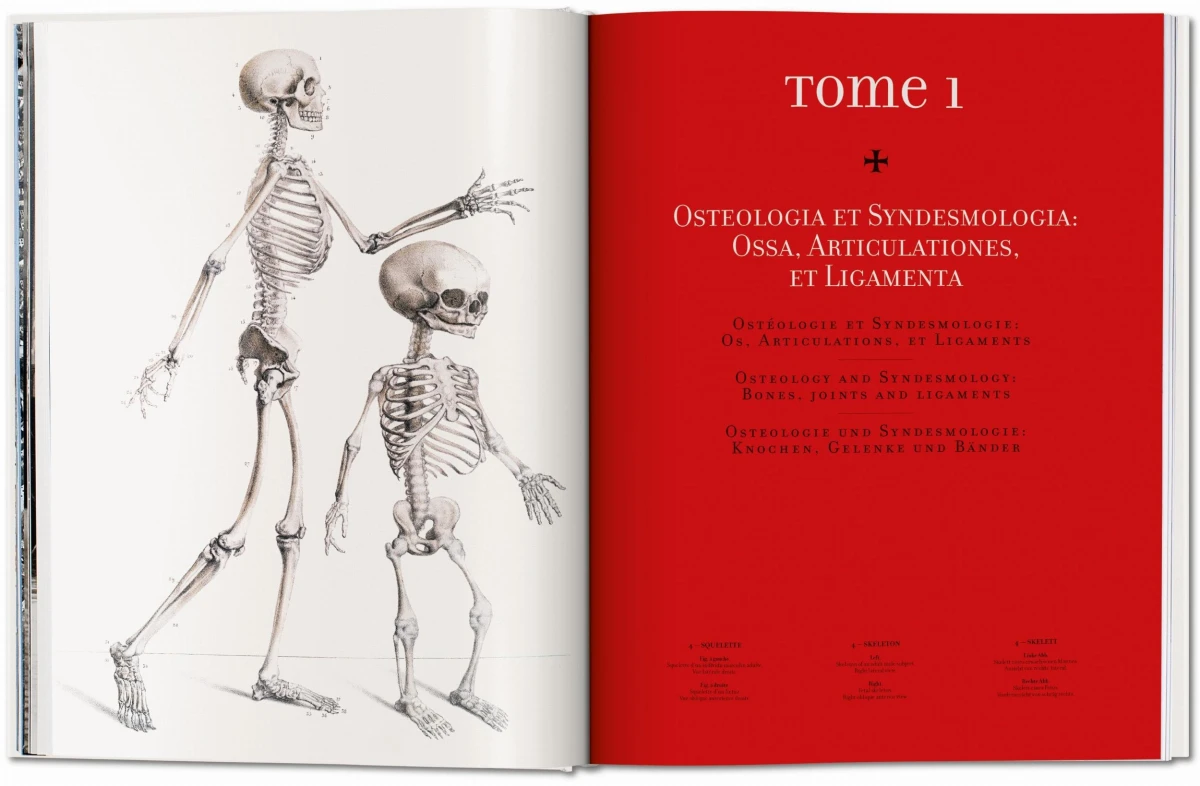 TASCHEN Bourgery. Atlas of Human Anatomy and Surgery Bis zu 65% Rabatt