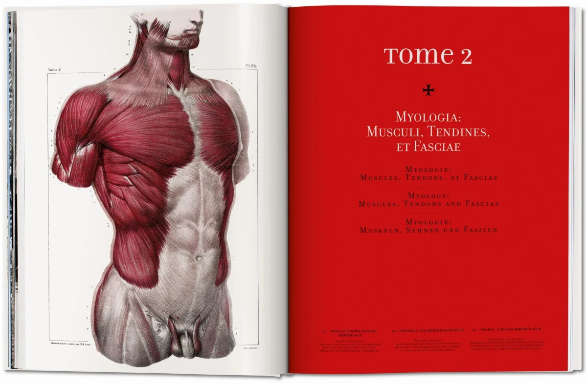 TASCHEN Bourgery. Atlas of Human Anatomy and Surgery Bis zu 65% Rabatt