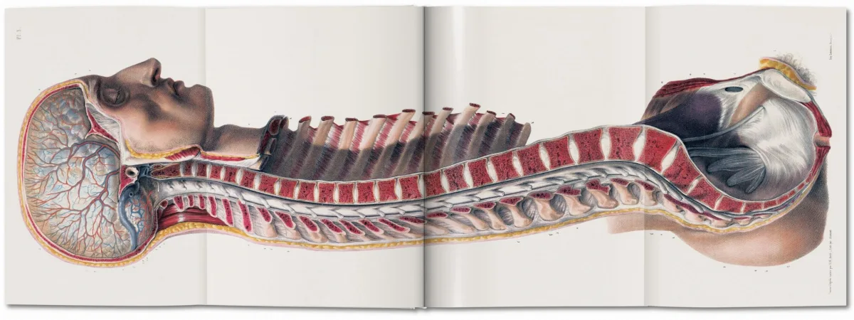 TASCHEN Bourgery. Atlas of Human Anatomy and Surgery Bis zu 65% Rabatt