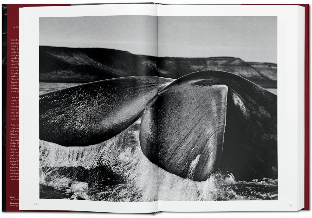 TASCHEN Sebastião Salgado. Genesis Begrenztes Angebot