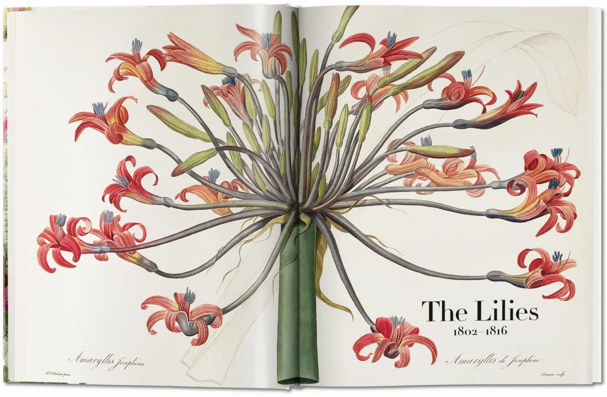 TASCHEN Redouté. The Book of Flowers Exklusivangebot