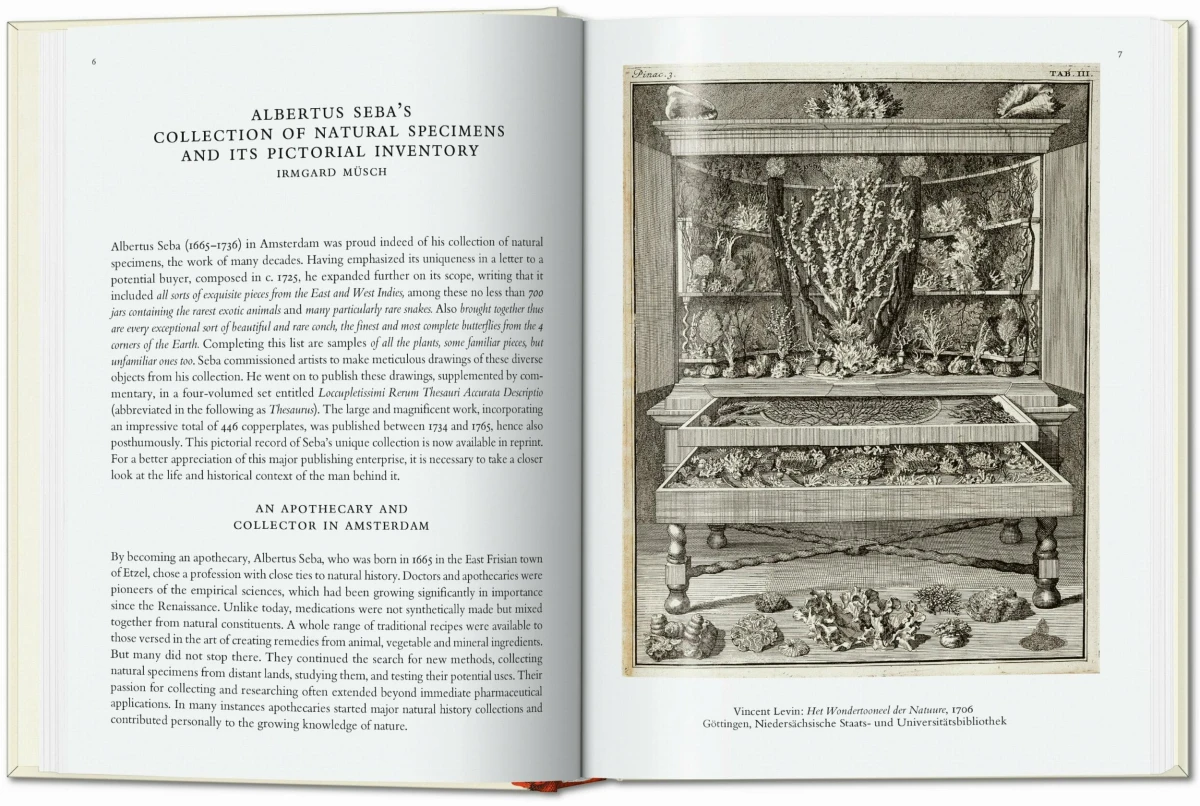 TASCHEN Seba. Cabinet of Natural Curiosities. 40th Ed Lagerräumung