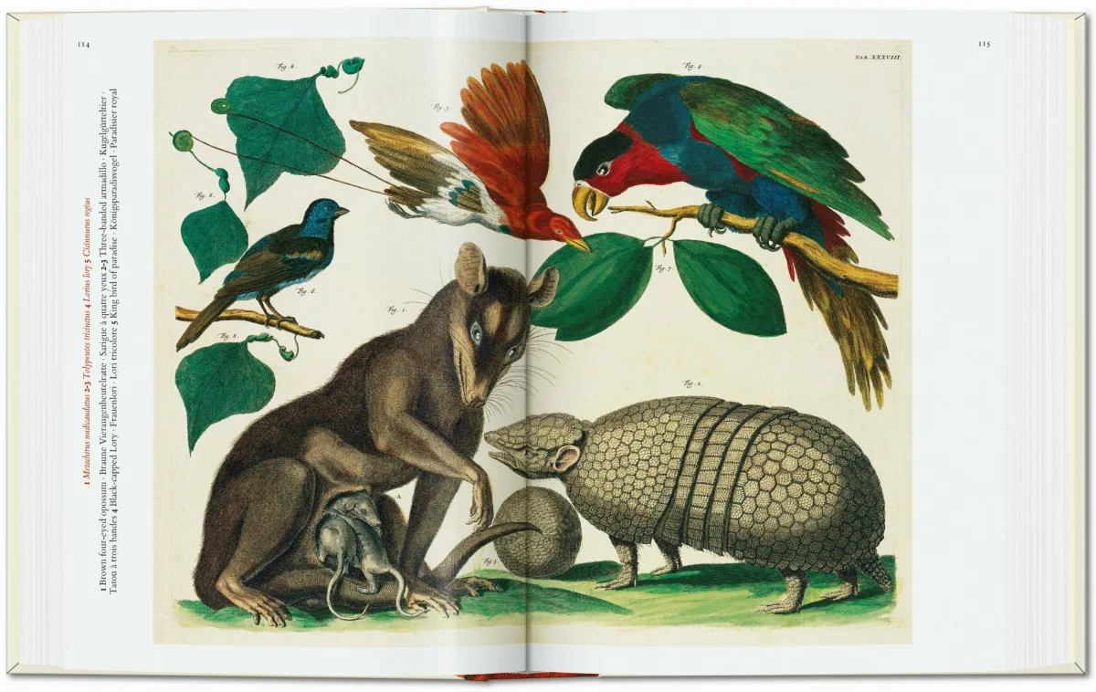 TASCHEN Seba. Cabinet of Natural Curiosities. 40th Ed Lagerräumung