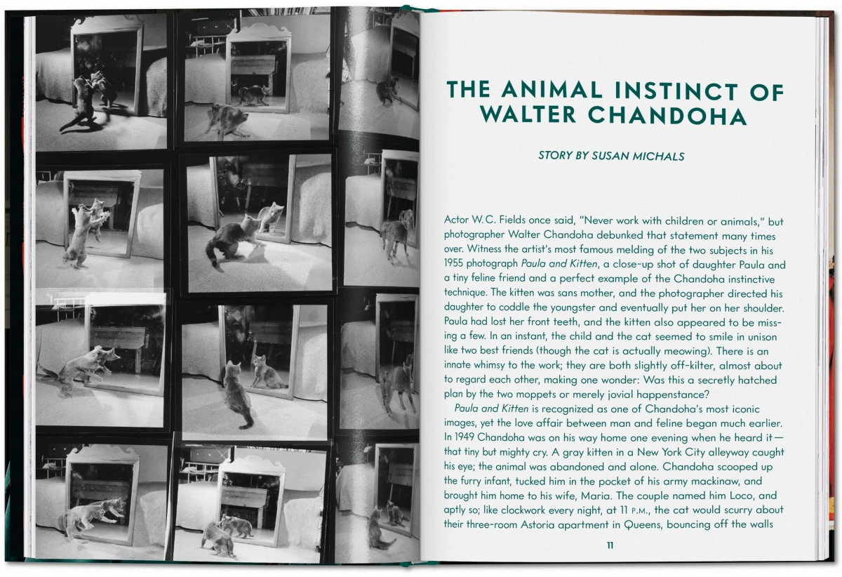 TASCHEN Walter Chandoha. Cats. Photographs 1942–2018 Bis zu 60% Rabatt
