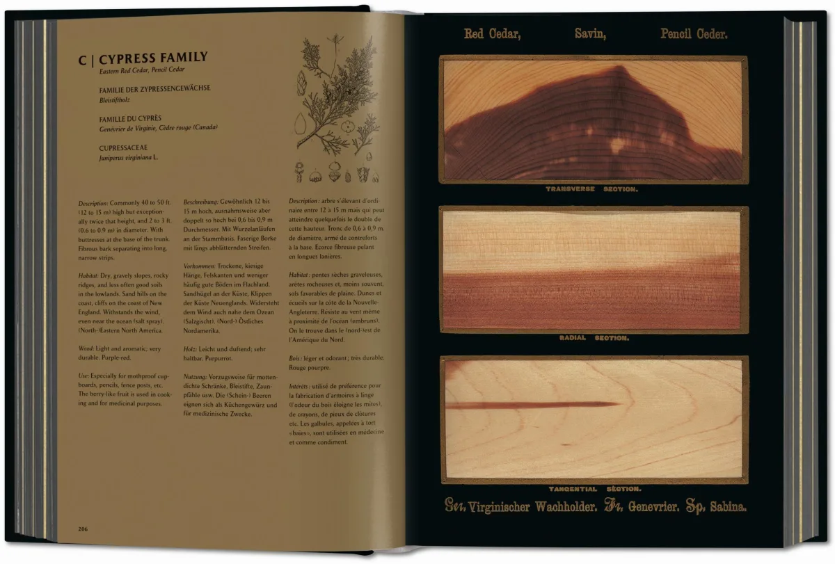 TASCHEN Romeyn B. Hough. The Woodbook. The Complete Plates Rabatte dieses Monats