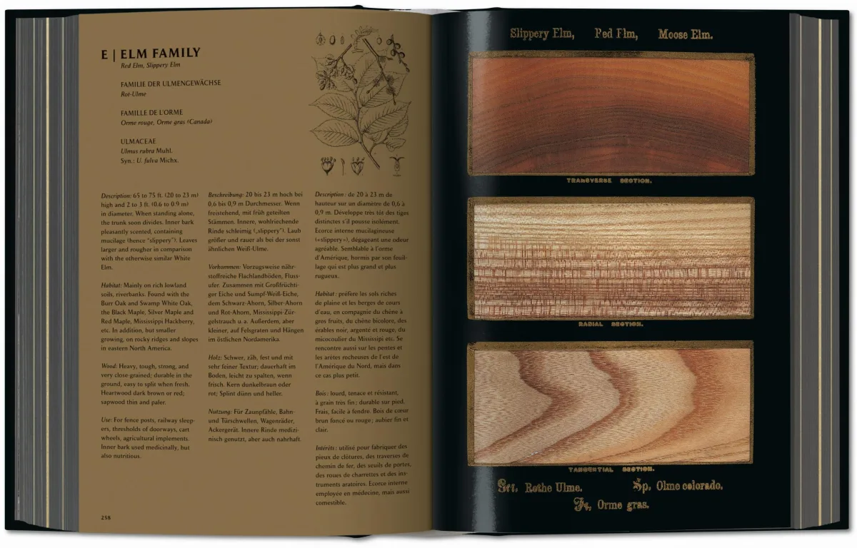 TASCHEN Romeyn B. Hough. The Woodbook. The Complete Plates Rabatte dieses Monats
