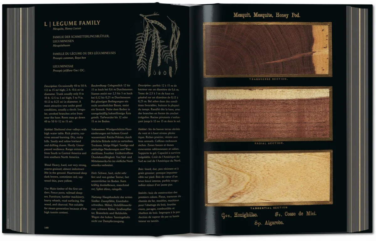 TASCHEN Romeyn B. Hough. The Woodbook. The Complete Plates Rabatte dieses Monats