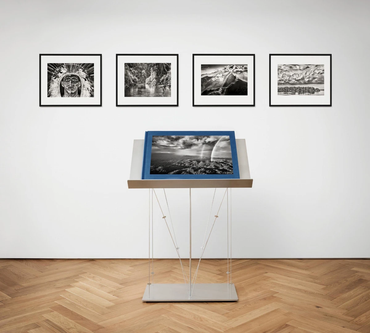 TASCHEN Sebastião Salgado. Amazônia, Art Edition No. 301–400 ‘The Paraná connecting the Rio Negro with the Cuyuní River’ Sonderangebot der Fabrik
