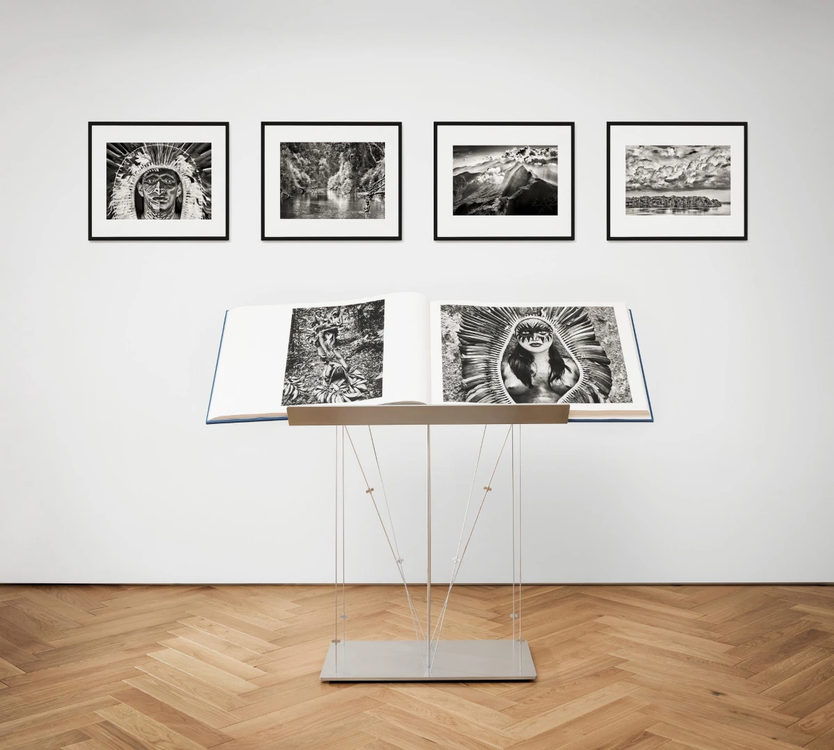 TASCHEN Sebastião Salgado. Amazônia, Art Edition No. 301–400 ‘The Paraná connecting the Rio Negro with the Cuyuní River’ Sonderangebot der Fabrik