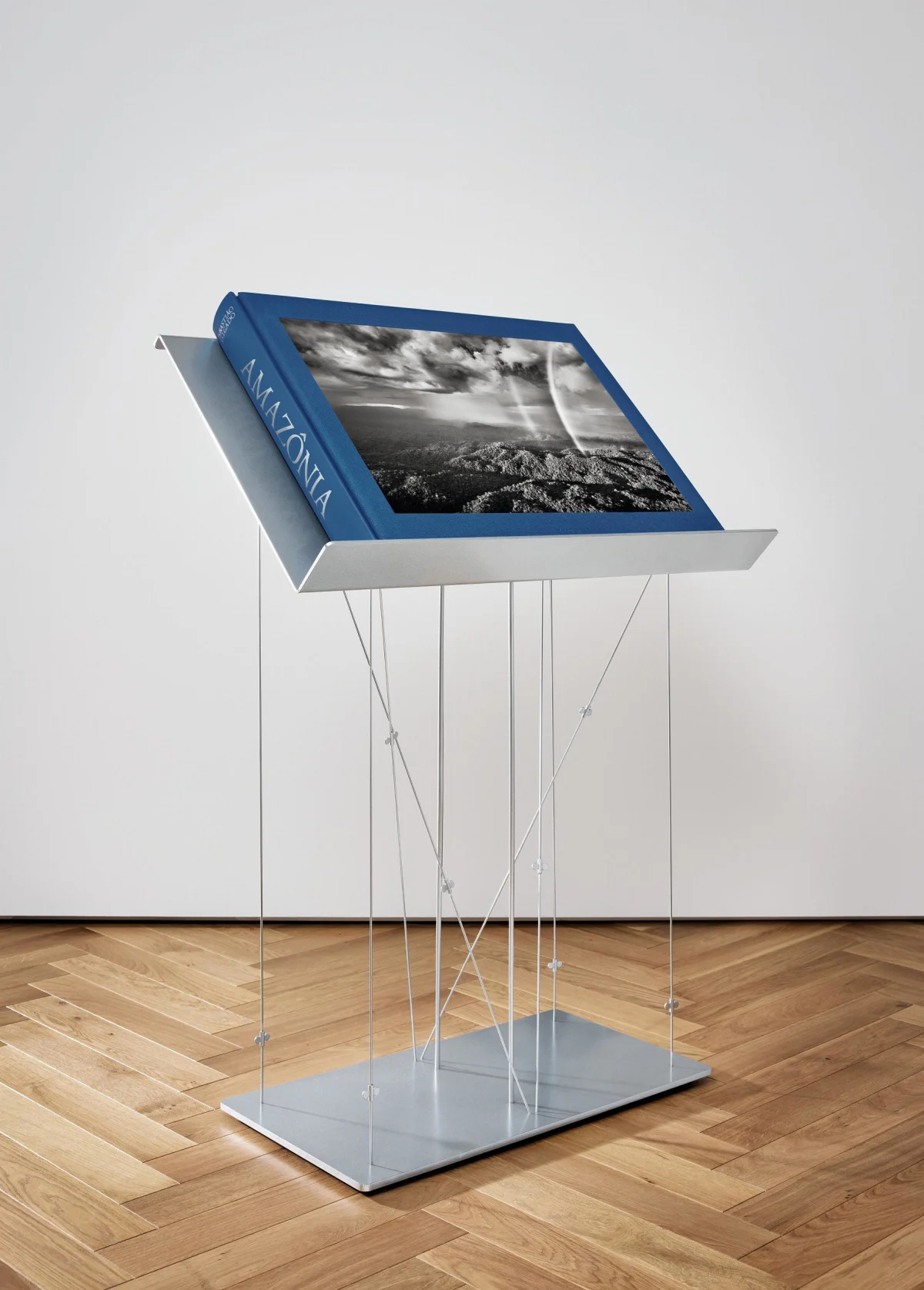 TASCHEN Sebastião Salgado. Amazônia, Art Edition No. 301–400 ‘The Paraná connecting the Rio Negro with the Cuyuní River’ Sonderangebot der Fabrik