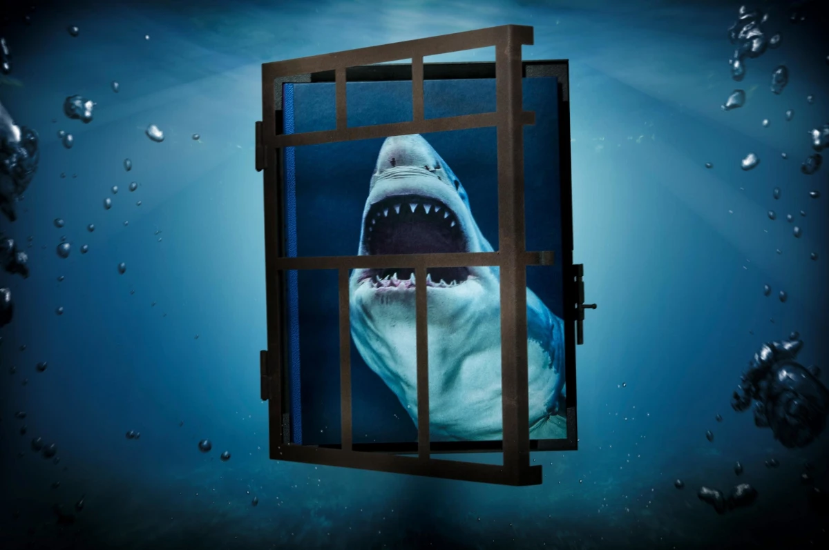 TASCHEN Michael Muller. Sharks Kostenloser Versand international