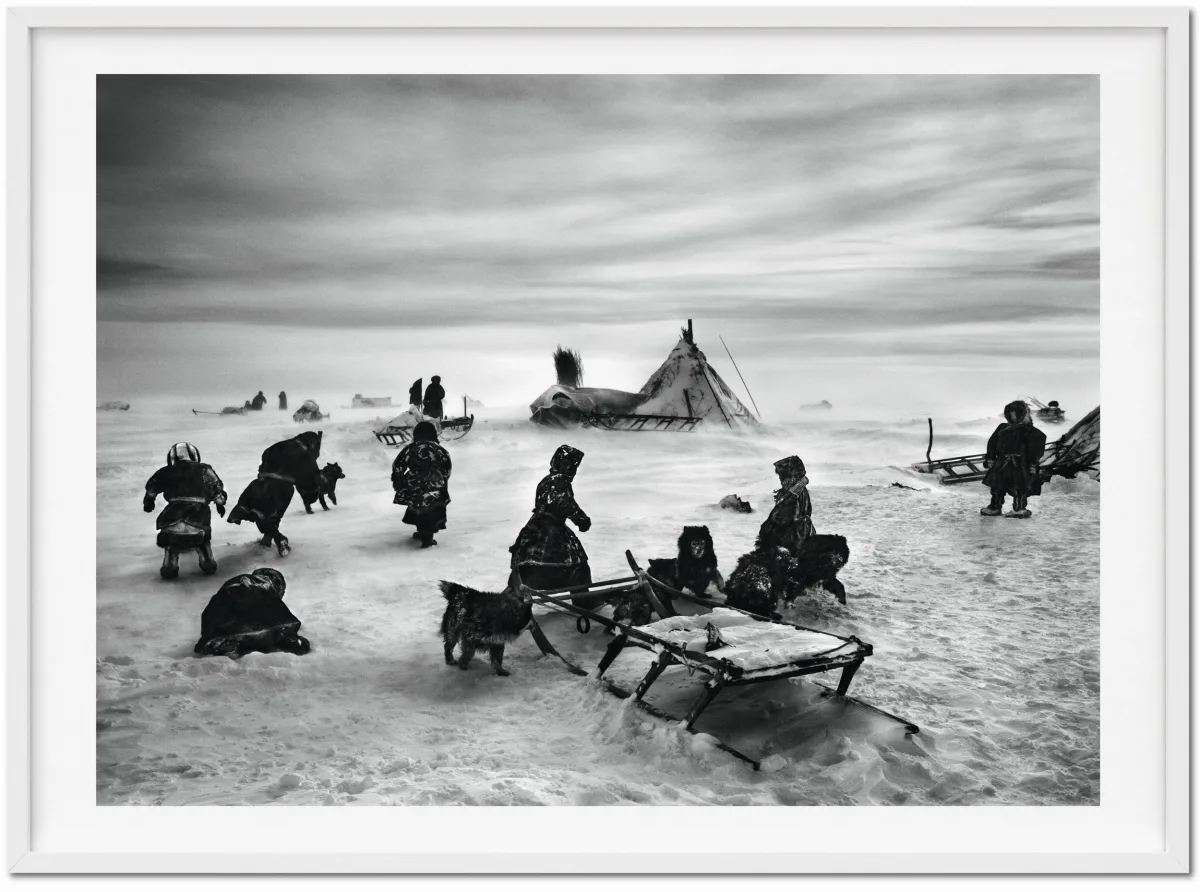 TASCHEN Sebastião Salgado. Genesis. Art Edition No. 101–200 ‘North of the Ob River, Yamal Peninsula, Siberia, Russia’ 50% Rabatt für begrenzte Zeit