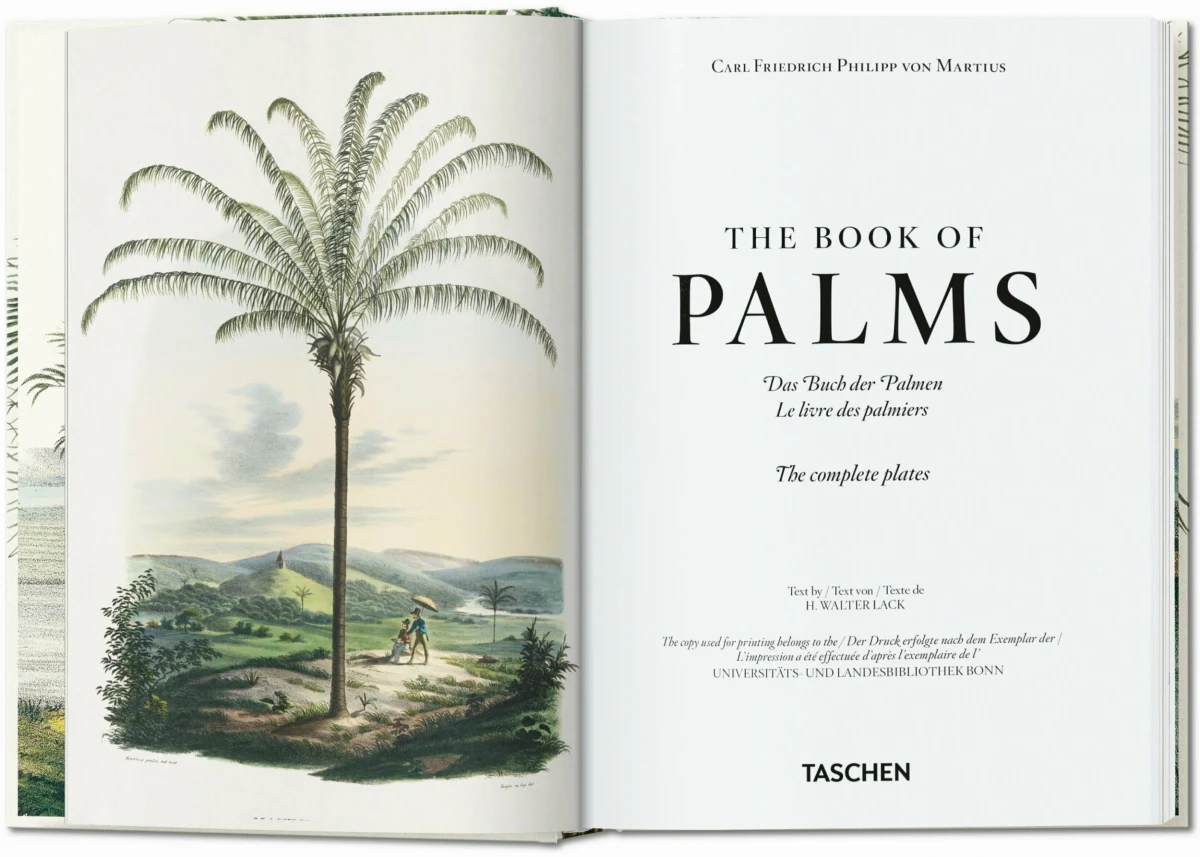 TASCHEN Martius. The Book of Palms. 40th Ed Muttertagsangebot